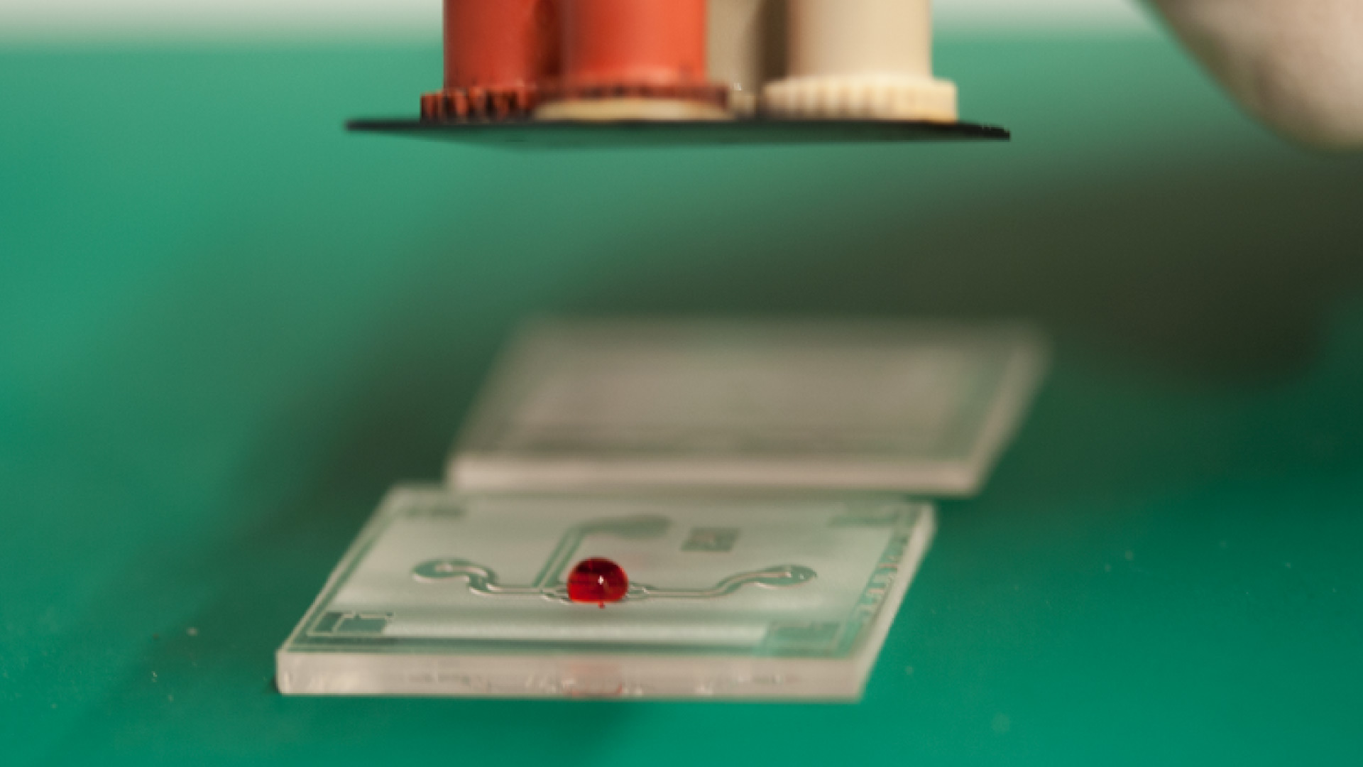 MicroTISSUE